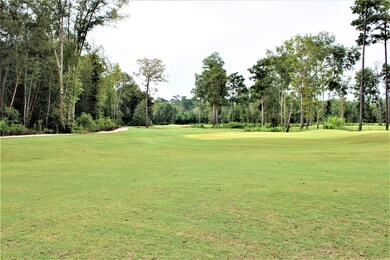 30120 Kingston Heath Dr, Cleveland, TX 77327 - photo 5