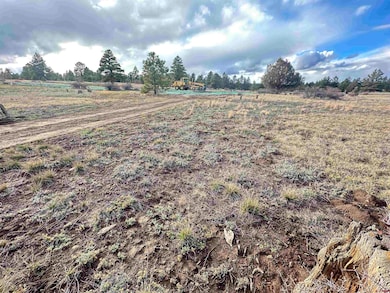 37 Arroyo Ct, Pagosa Springs, CO 81147 - photo 6