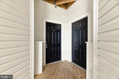 22641 Blue Elder Terrace unit 202, Ashburn, VA 20148 - photo 4