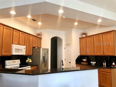 9766 Osprey Landing Dr, Orlando, FL 32832 - photo 4