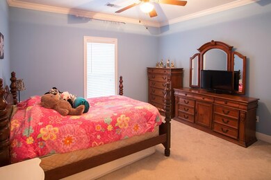 208 Spring Lake Cove, Oxford, MS 38655 - photo 6