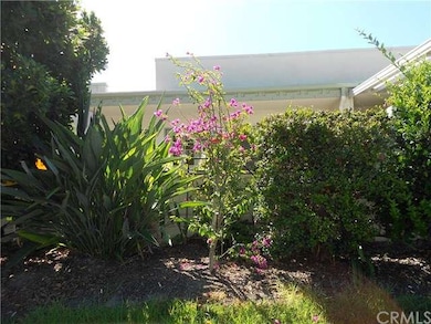 Greenery in front of patio