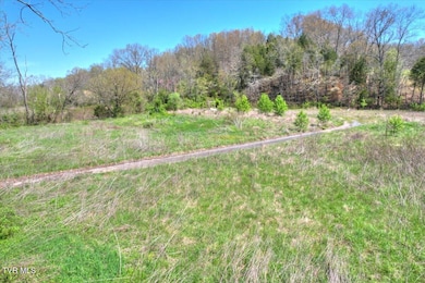0 Mill Creek Rd, Kingsport, TN 37664 - photo 4