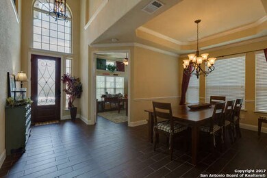 25907 Natal Plum, San Antonio, TX 78261 - photo 3