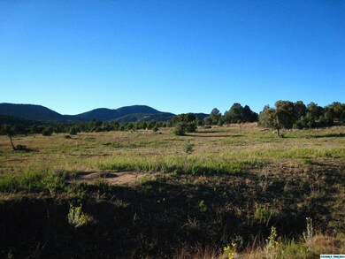 XX Linda Dr, Silver City, NM 88061 - photo 4