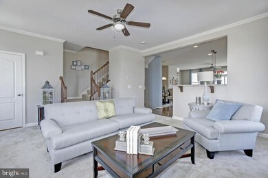 163 Schramm Loop, Stephens City, VA 22655 - photo 7