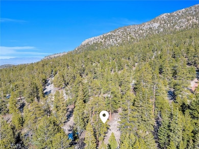 5215 Whispering Deer Dr, Mount Charleston, NV 89124 - photo 5