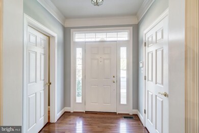 419 Park Ave, Falls Church, VA 22046 - photo 5