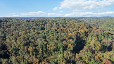 569 Stoneybrook Rd, Burnside, KY 42519 - photo 3