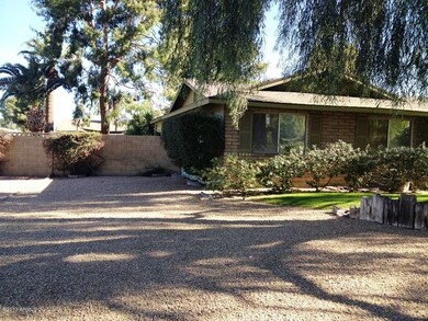 35th St Front N side yard