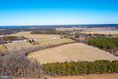 6269 Rock Hall Rd, Rock Hall, MD 21661 - photo 4