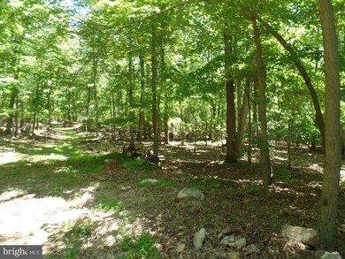 Etzler Map 56 Parcel Etzler Rd, Frederick, MD 21702 - photo 4