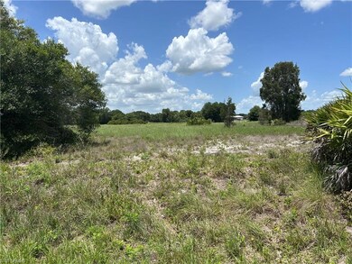 1715 Hamilton Ave, Lehigh Acres, FL 33972 - photo 2