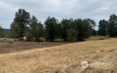 6025 Lowell Snohomish River Rd, Snohomish, WA 98296 - photo 3