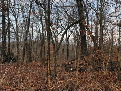 11 Kensington Dr, Bella Vista, AR 72715 - photo 3