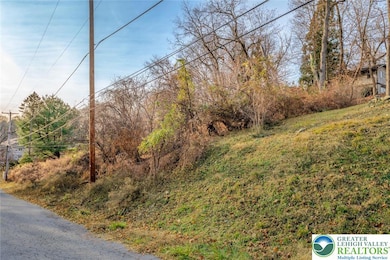 0 Spengler Ave, Chestnut Hill, PA 18040 - photo 4