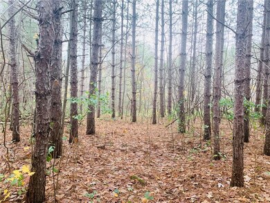 0 28th St unit 1537139, Chetek, WI 54728 - photo 2