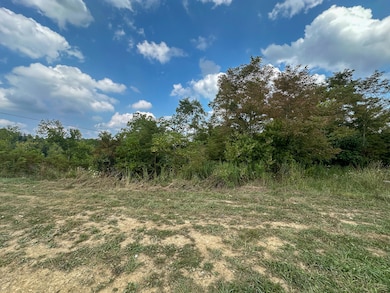 0 Goose Creek Rd, Carlisle, KY 40311 - photo 3