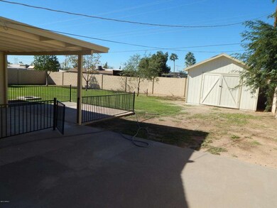 Back Yard 2