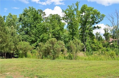 Rear of Lot