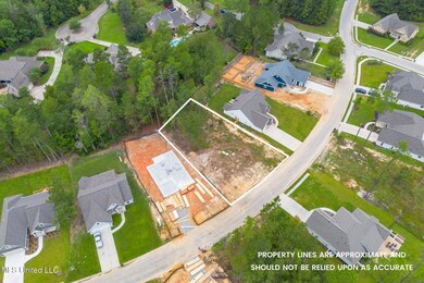 Lot 76 S Founders Way, Hattiesburg, MS 39401 - photo 3