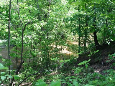 9902 Community Hall Rd, Union Pier, MI 49129 - photo 6