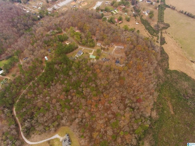 0 Page Cir unit 21438381, Alexandria, AL 36250 - photo 3