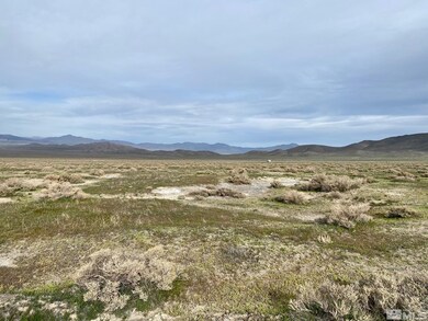 00836020 Kings View Rd, Imlay, NV 89418 - photo 2