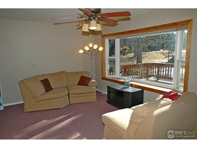 Large Picture Window