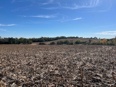 650 County Road R, Yutan, NE 68073 - photo 3