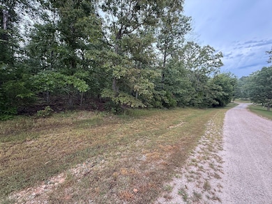 Private Road 2532, Mountain View, MO 65548 - photo 2