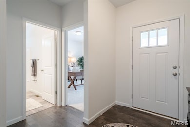 Entryway with dark wood-style flooring