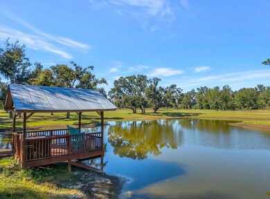 1577 Pine Bluff Rd, Perry, FL 32348 - photo 6