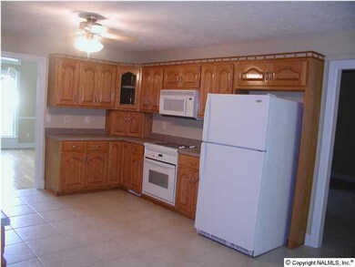 Custom Cabinets, large kitchen with an abundance of cabinets on both sides, slide out trays in Pantry. Refrig remains