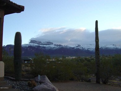 Natural desert front yard.