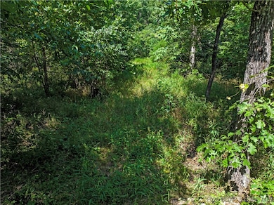 0 State Hwy E, Montreal, MO 65591 - photo 2