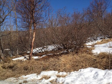 Trees and unobstructed Views!