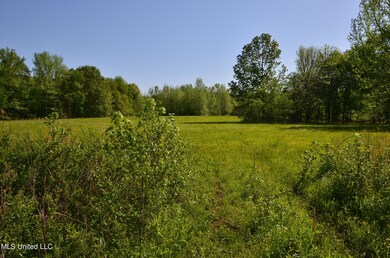 Lot 2