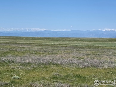 3 Tbd Lot B Ffd25-0006 Wcr 15, Carr, CO 80612 - photo 2