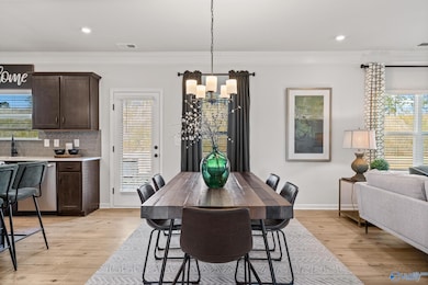 7325 Pine Run Ln SE, Owens Cross Roads, AL 35763 - photo 6