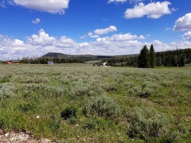 Meadow View
