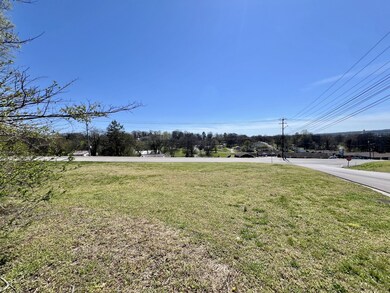 0 Lewisburg Hwy unit RTC2811267, Pulaski, TN 38478 - photo 3