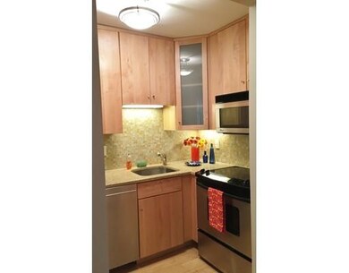 46 E Springfield St unit 1, Boston, MA 02118 - photo 7