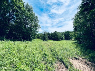 122 Mercy Ln, Cookeville, TN 38506 - photo 6