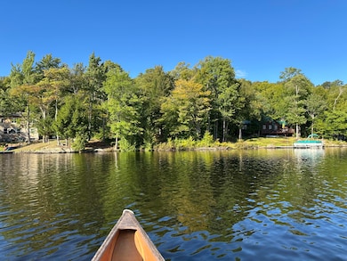 1028 Goodnow Flow Rd, Newcomb, NY 12852 - photo 2