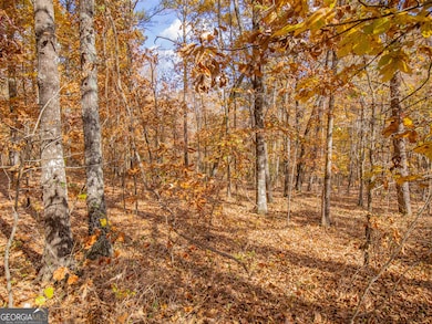 0 Galway Dr unit 10650912, Kingston, GA 30145 - photo 6