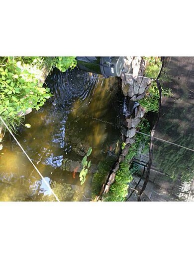 133 Adrian St, Warwick, RI 02886 - photo 3