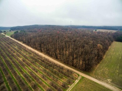 DJI_0043-4