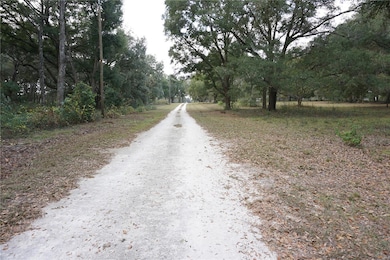 00 (TBD) NE 141st St, Citra, FL 32113 - photo 4