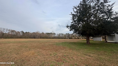 660 Evers Rd, Bladenboro, NC 28320 - photo 6